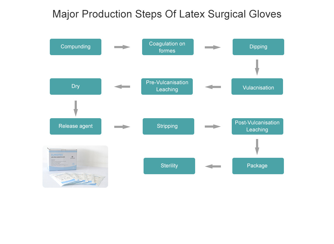 Surgical gloves production_Suzhou Colourway Enterprise Development Co.jpg